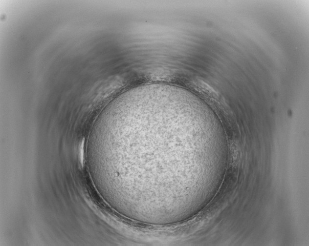 X0000086980028200704231830