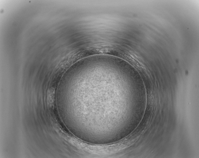 X0000086980030200704231830