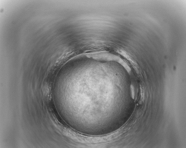 X0000086980031200704231830