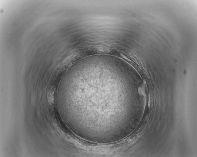 X0000086980032200704231830