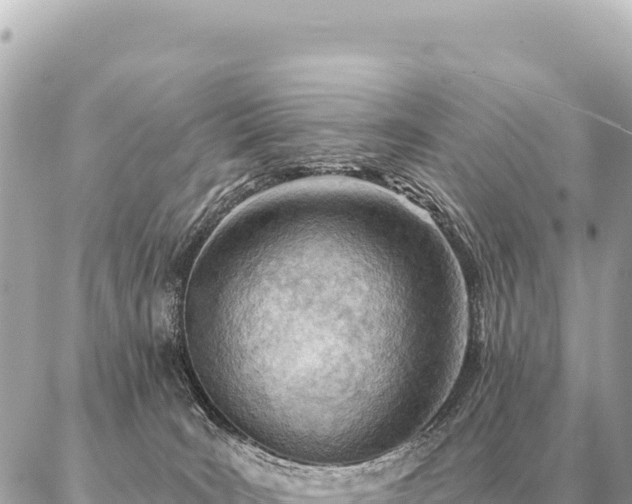 X0000086980035200704231830