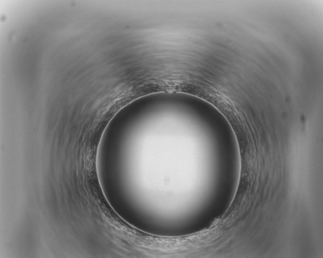 X0000086980037200704231830