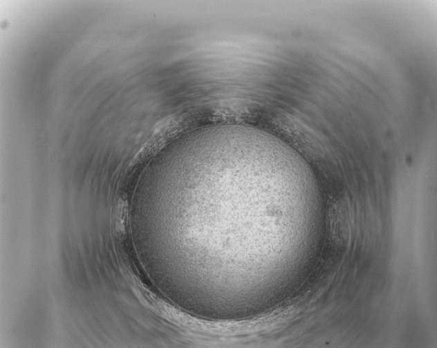 X0000086980038200704231830