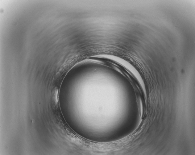 X0000086980041200704231830