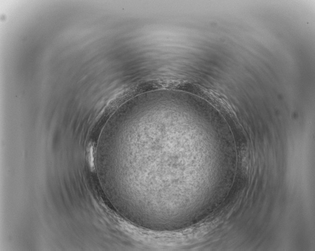 X0000086980042200704231830