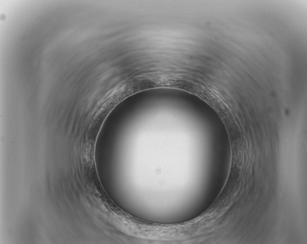 X0000086980044200704231830