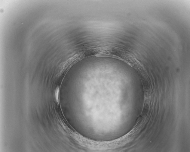 X0000086980047200704231830