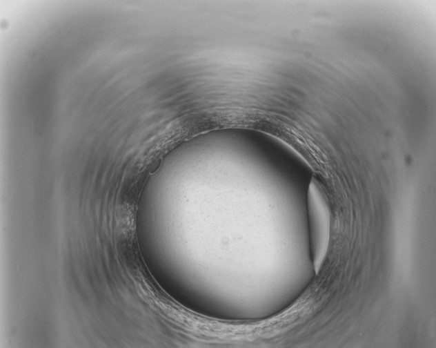 X0000086980048200704231830