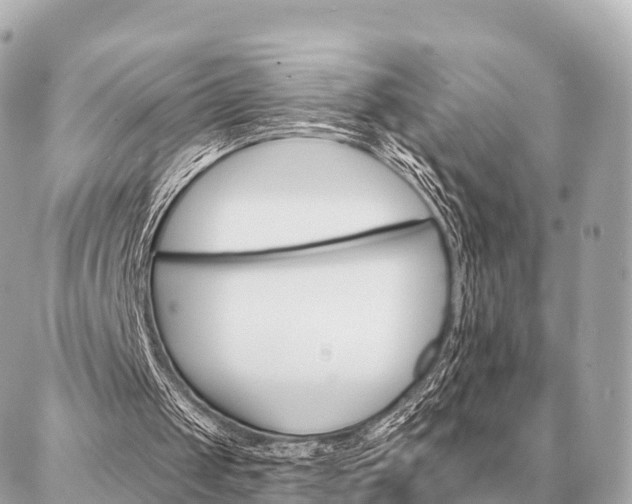 X0000086980049200704231829