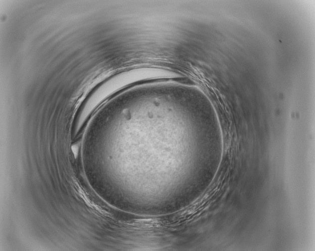 X0000086980050200704231829