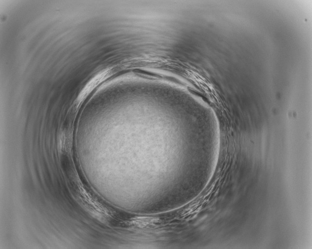 X0000086980051200704231829