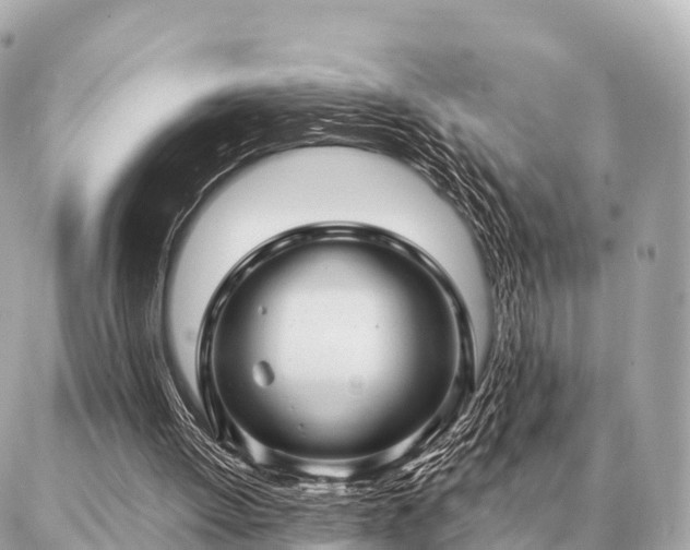 X0000086980052200704231829