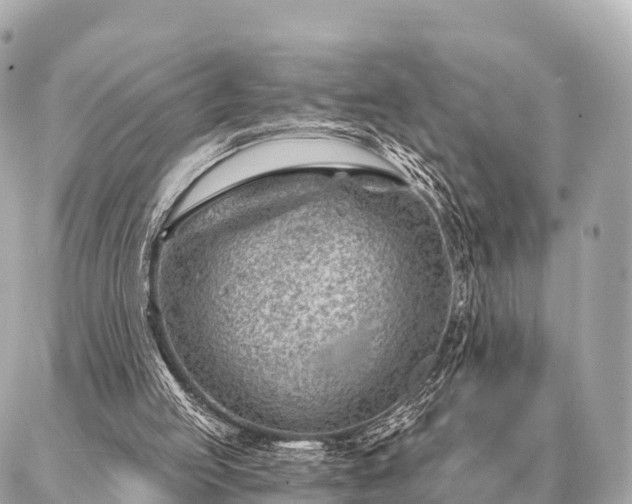 X0000086980053200704231829