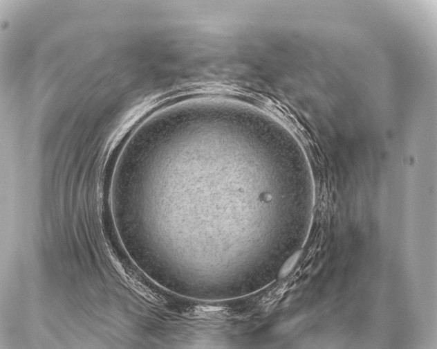 X0000086980055200704231829