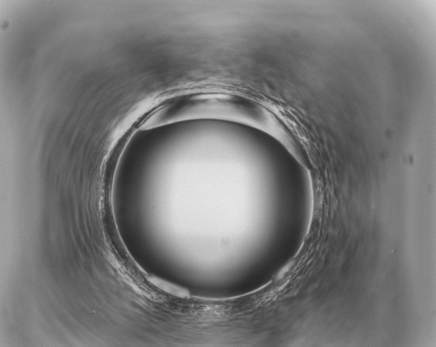 X0000086980056200704231829