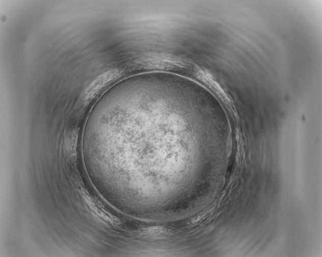 X0000086980058200704231829