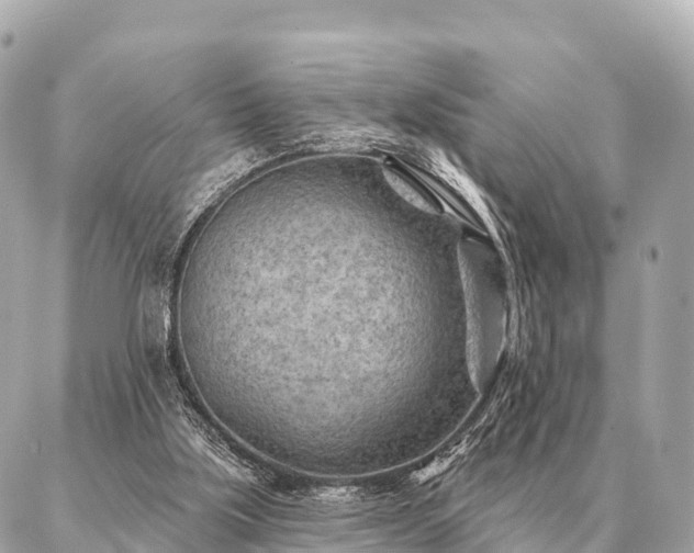 X0000086980059200704231829