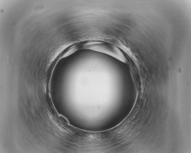 X0000086980060200704231830