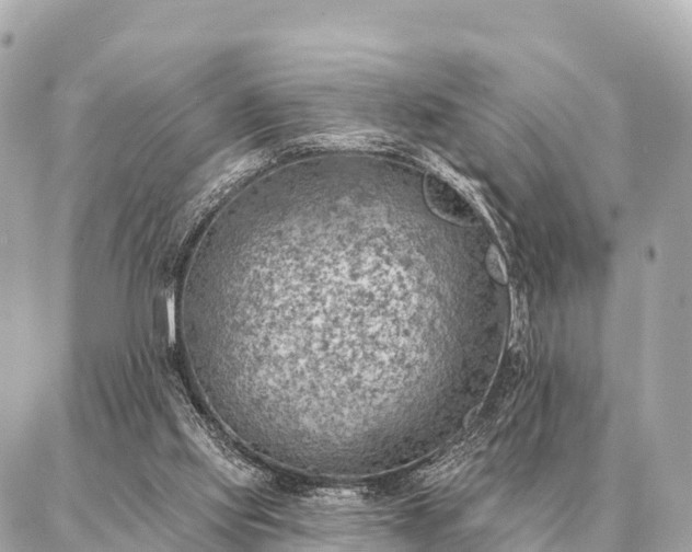 X0000086980061200704231830