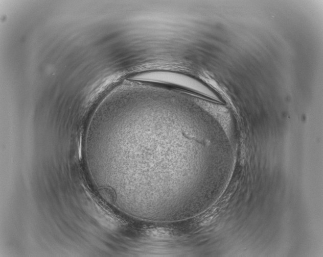 X0000086980062200704231830