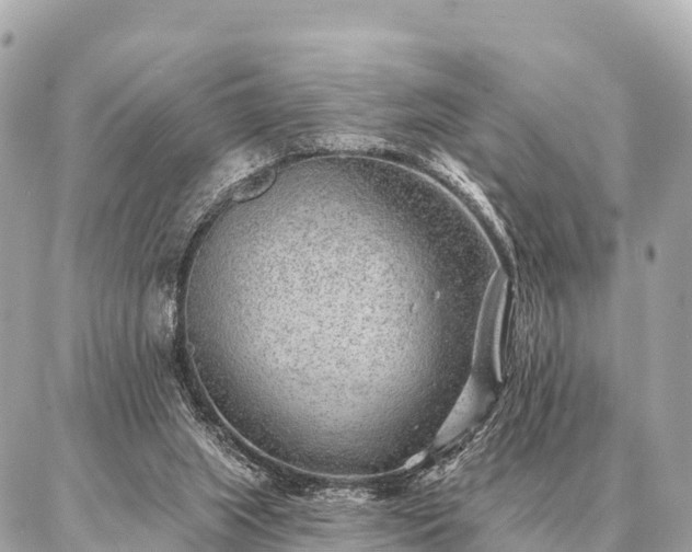 X0000086980063200704231830