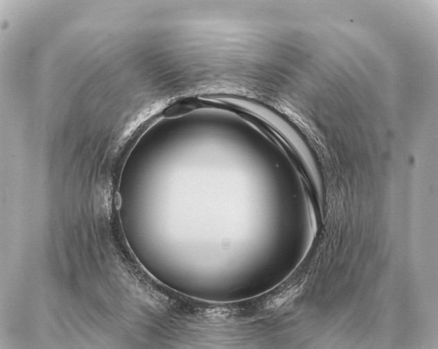 X0000086980064200704231830