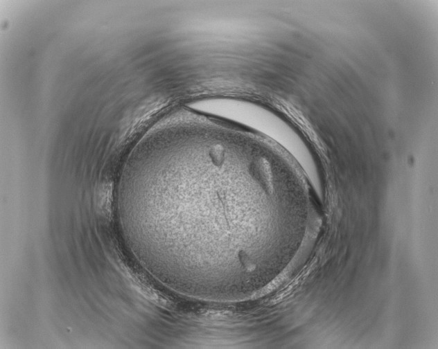 X0000086980066200704231830