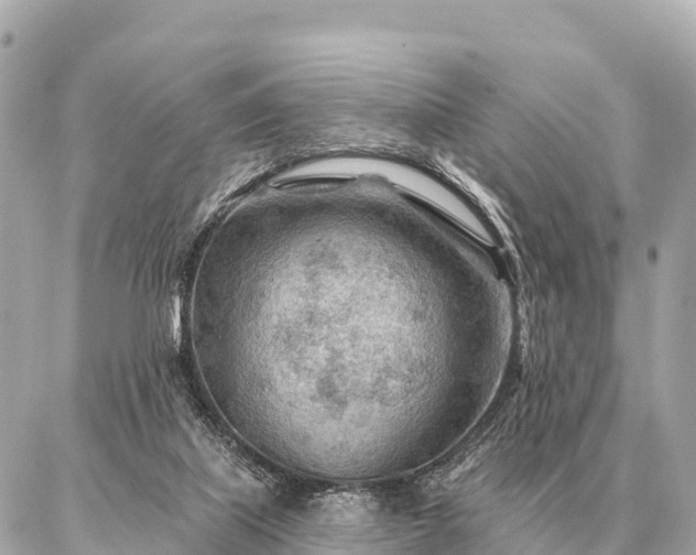 X0000086980067200704231830