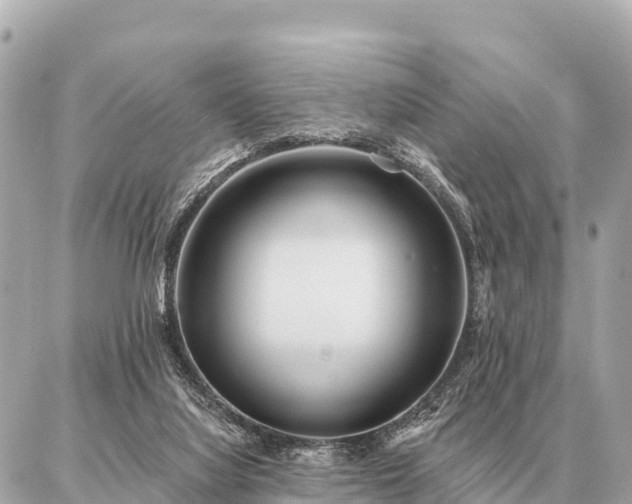 X0000086980068200704231830