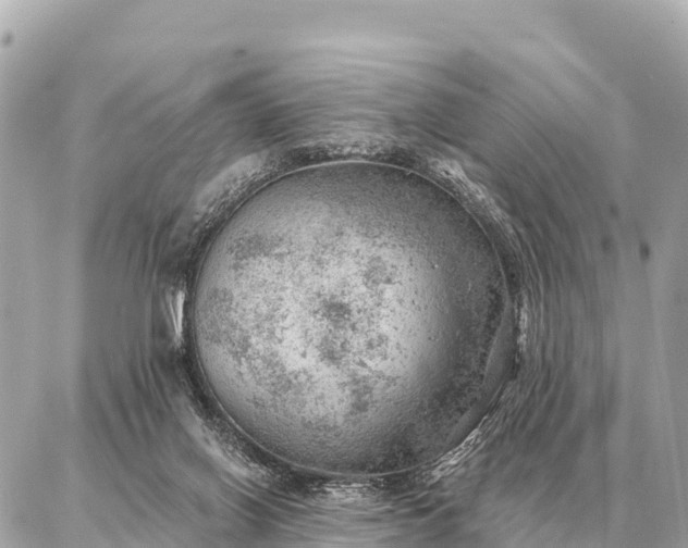 X0000086980070200704231830