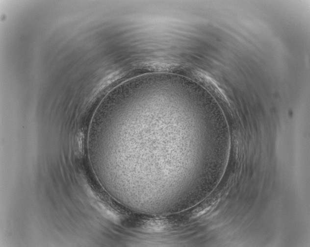 X0000086980071200704231830