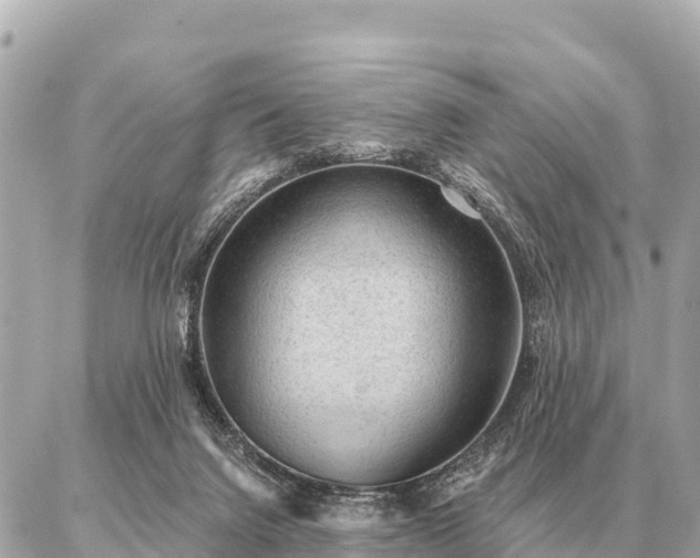 X0000086980072200704231830