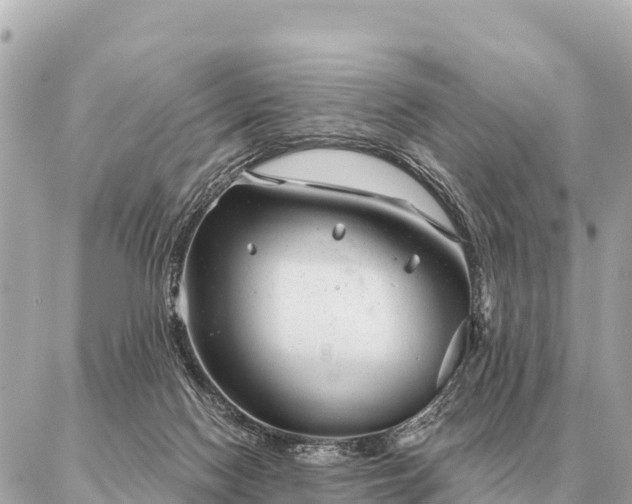 X0000086980074200704231830