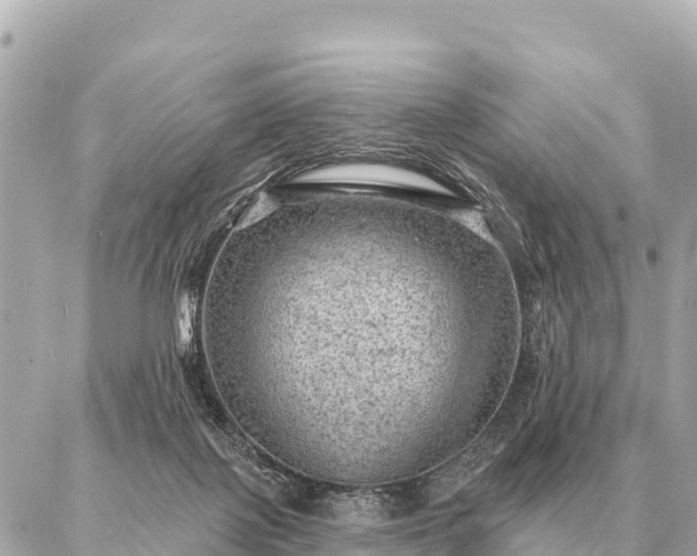 X0000086980075200704231830