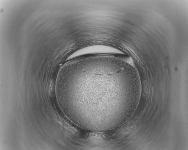 X0000086980077200704231830