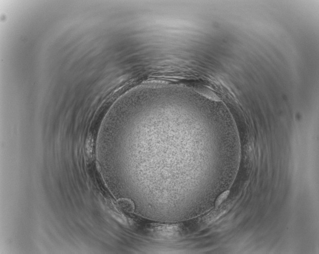 X0000086980081200704231830