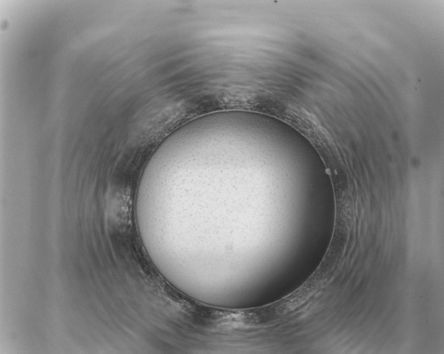 X0000086980083200704231830