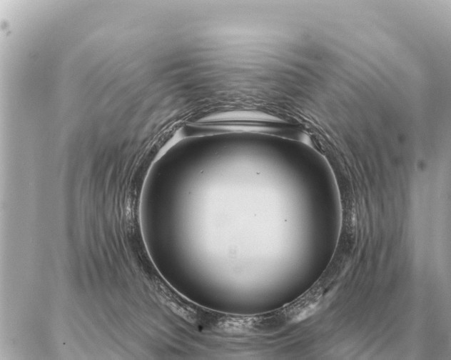 X0000086980084200704231830