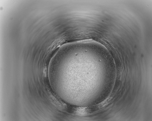 X0000086980090200704231830