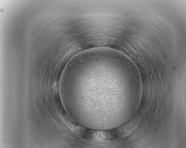 X0000086980091200704231830