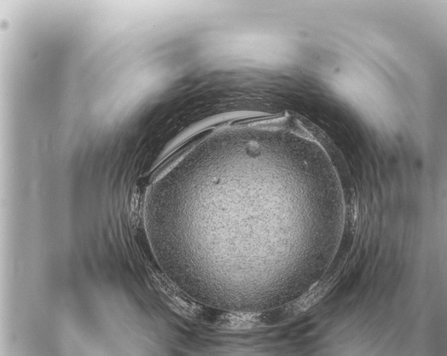 X0000086980093200704231830