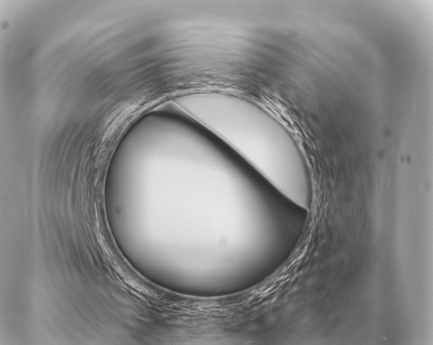 X0000086980097200704231829