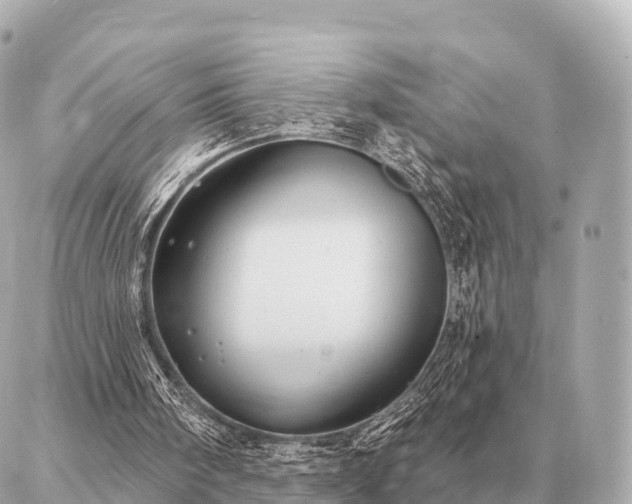 X0000086980098200704231829