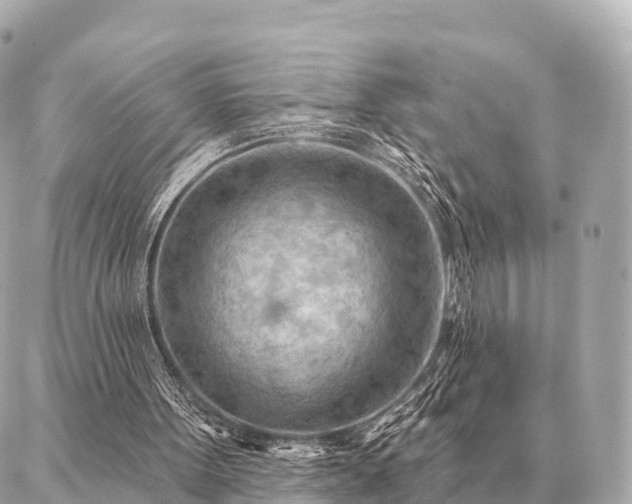 X0000086980099200704231829