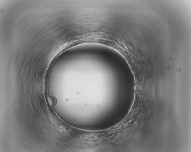 X0000086980100200704231829