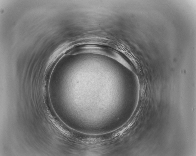 X0000086980101200704231829