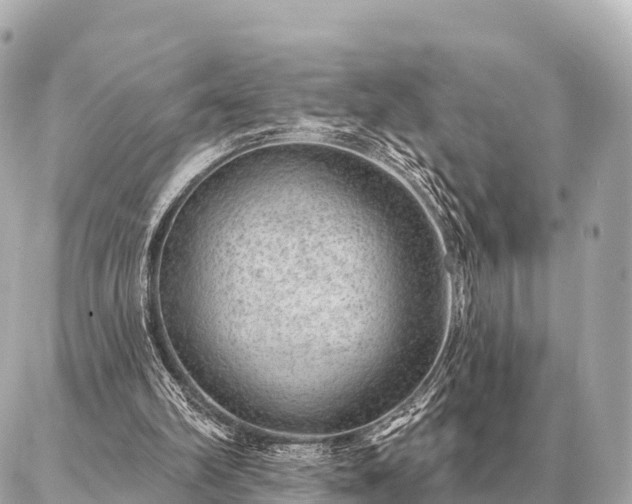 X0000086980102200704231829