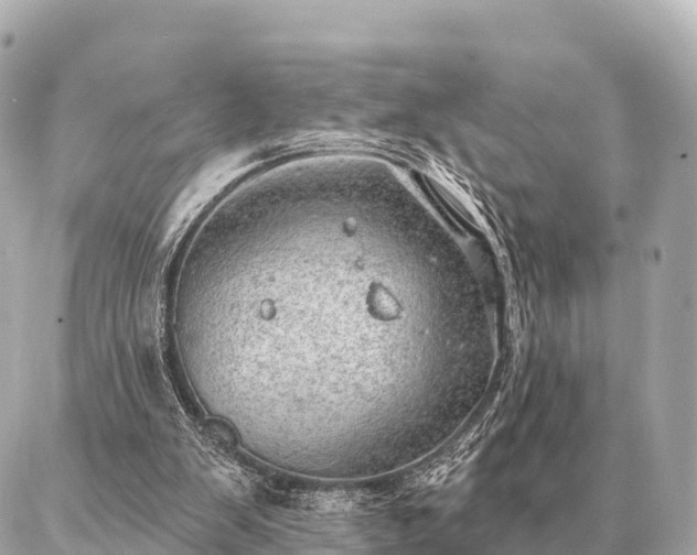 X0000086980103200704231829