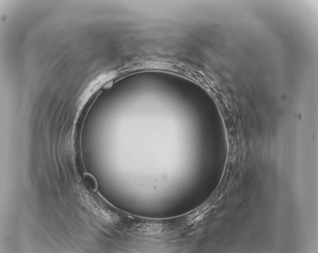 X0000086980104200704231829