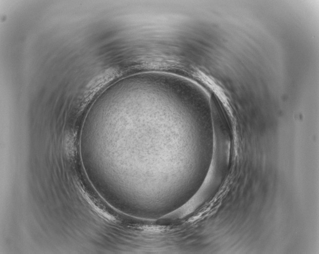 X0000086980105200704231829